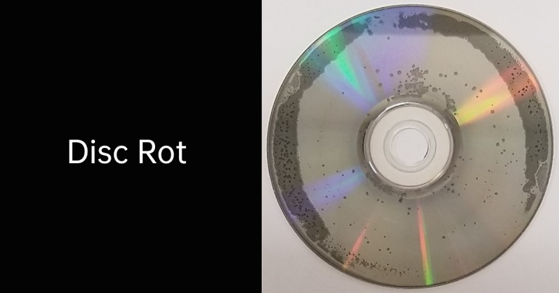 Disc Rot