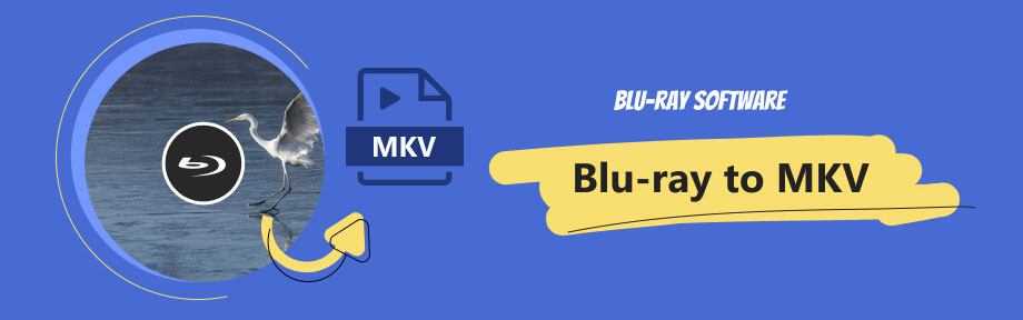 Blu-ray to MKV