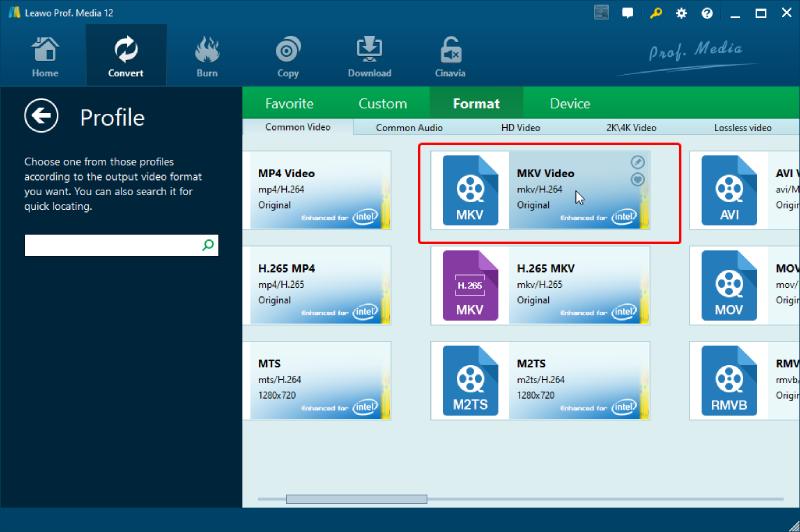 Choose MKV as the Output Format