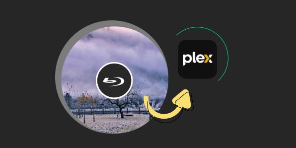 Rip Blu-ray to Plex