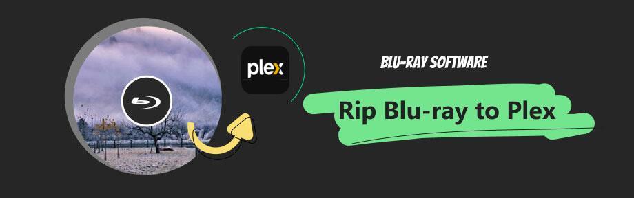 Rip Blu-ray to Plex