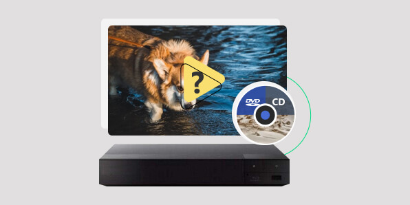 Can Blu-ray Players Play DVDs and CDs