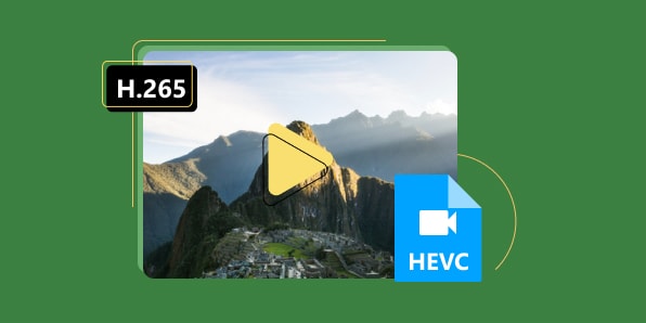 HEVC H265 Player