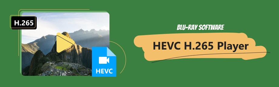 HEVC.265 Player