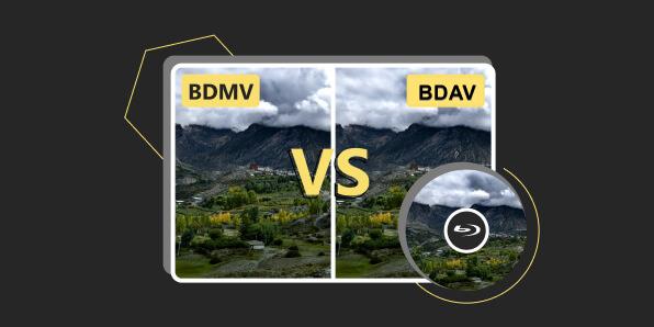 BDMV vs BDAV
