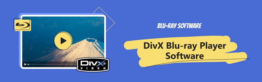Blu-ray Player that Plays DivX