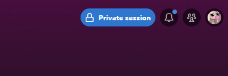 What Does a Private Session on Spotify Look Like to Others
